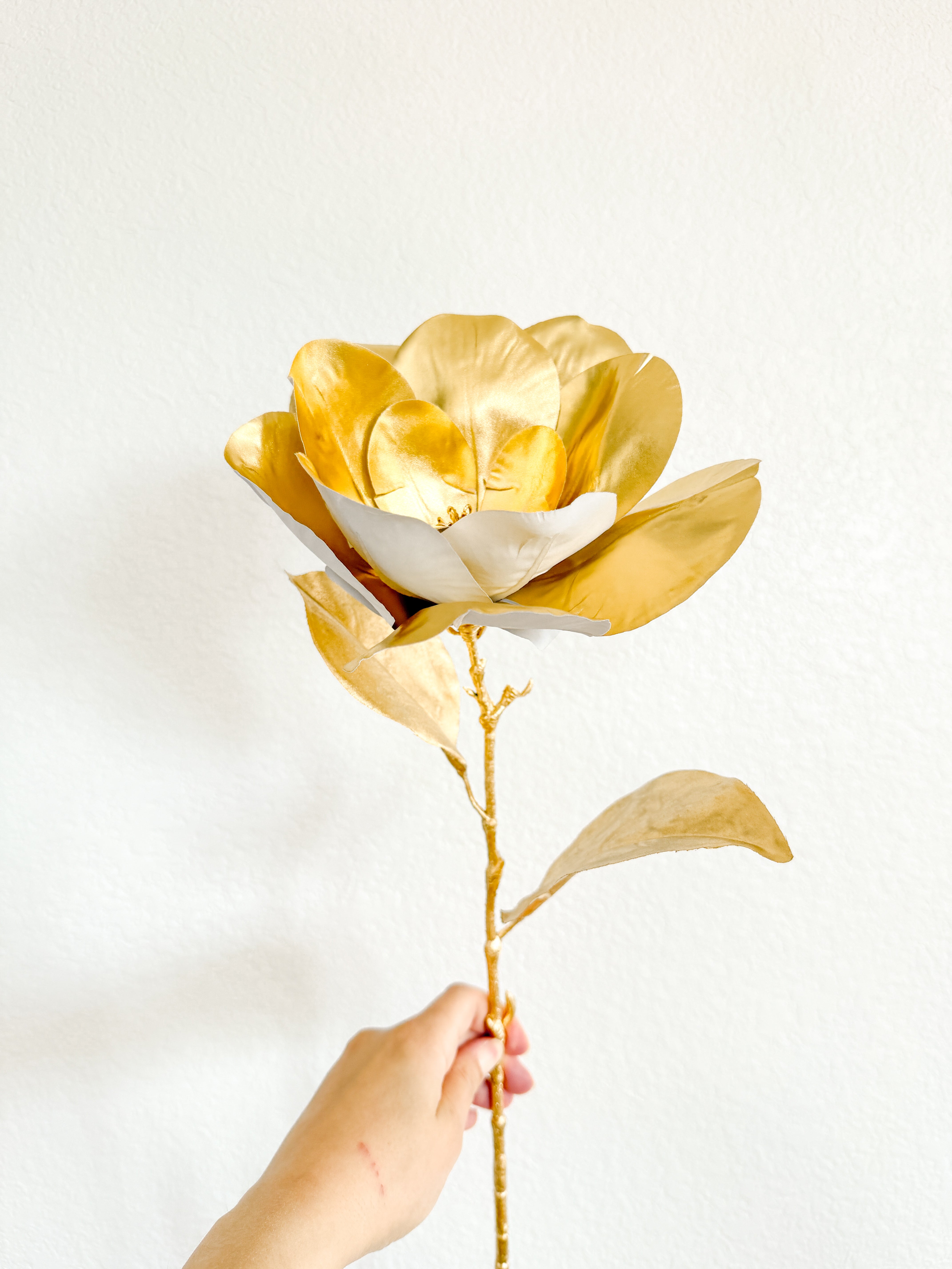 White and Gold Magnolia Stem