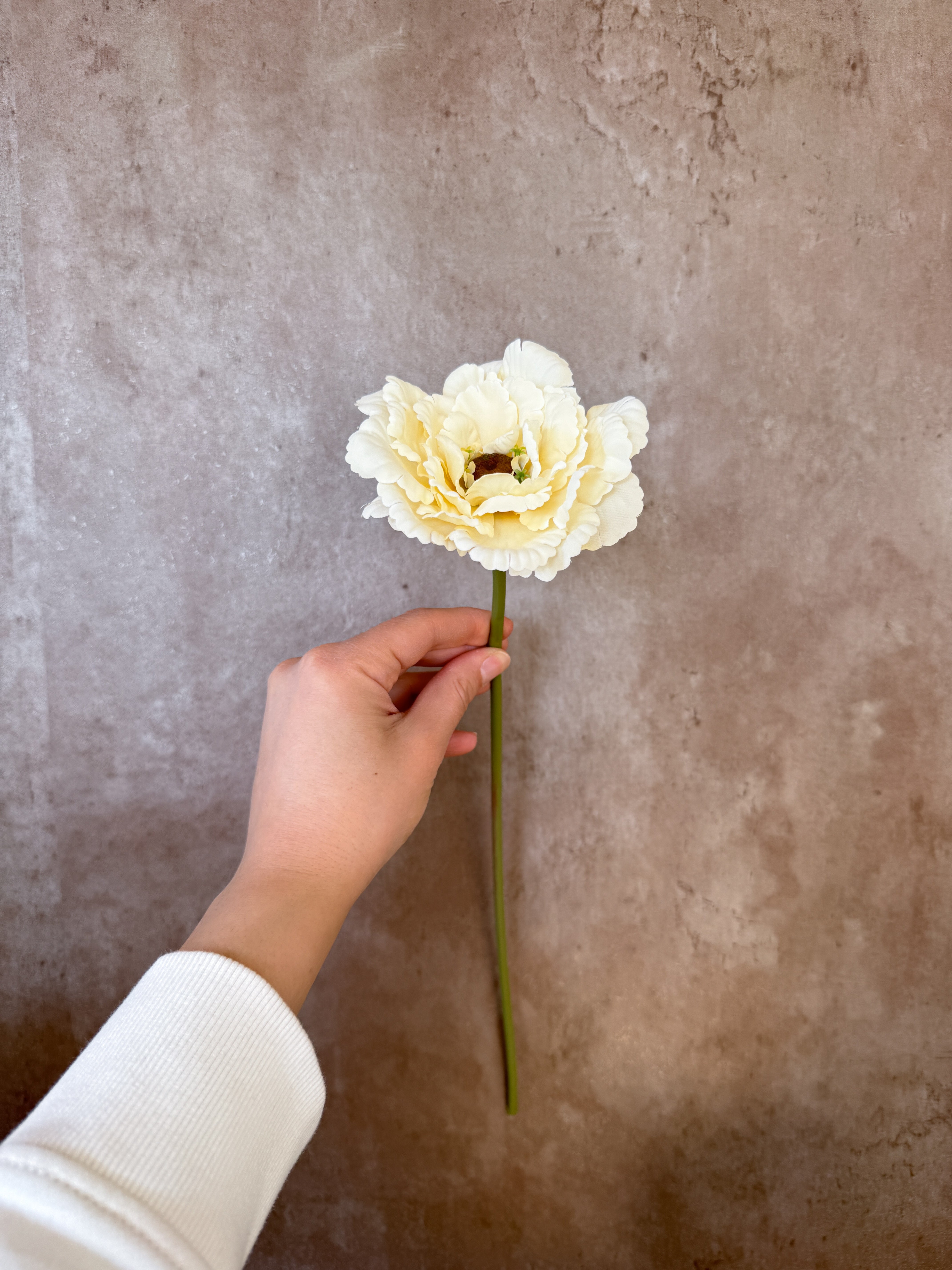 faux Plush Cream Peony Stem (Pack of 3 Stems)