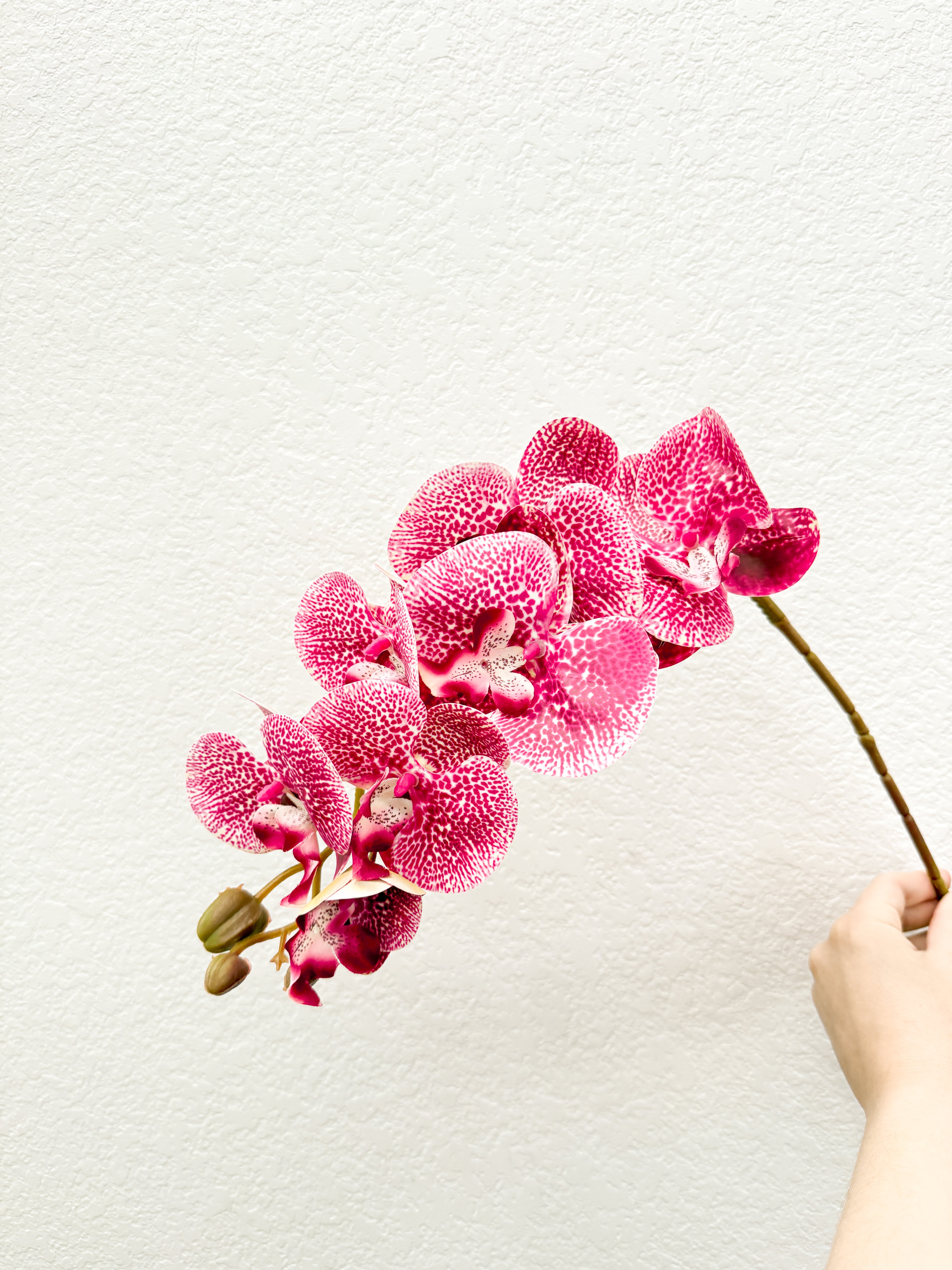 Pink Dotted Orchid Stem (Pack of 3 Stems)