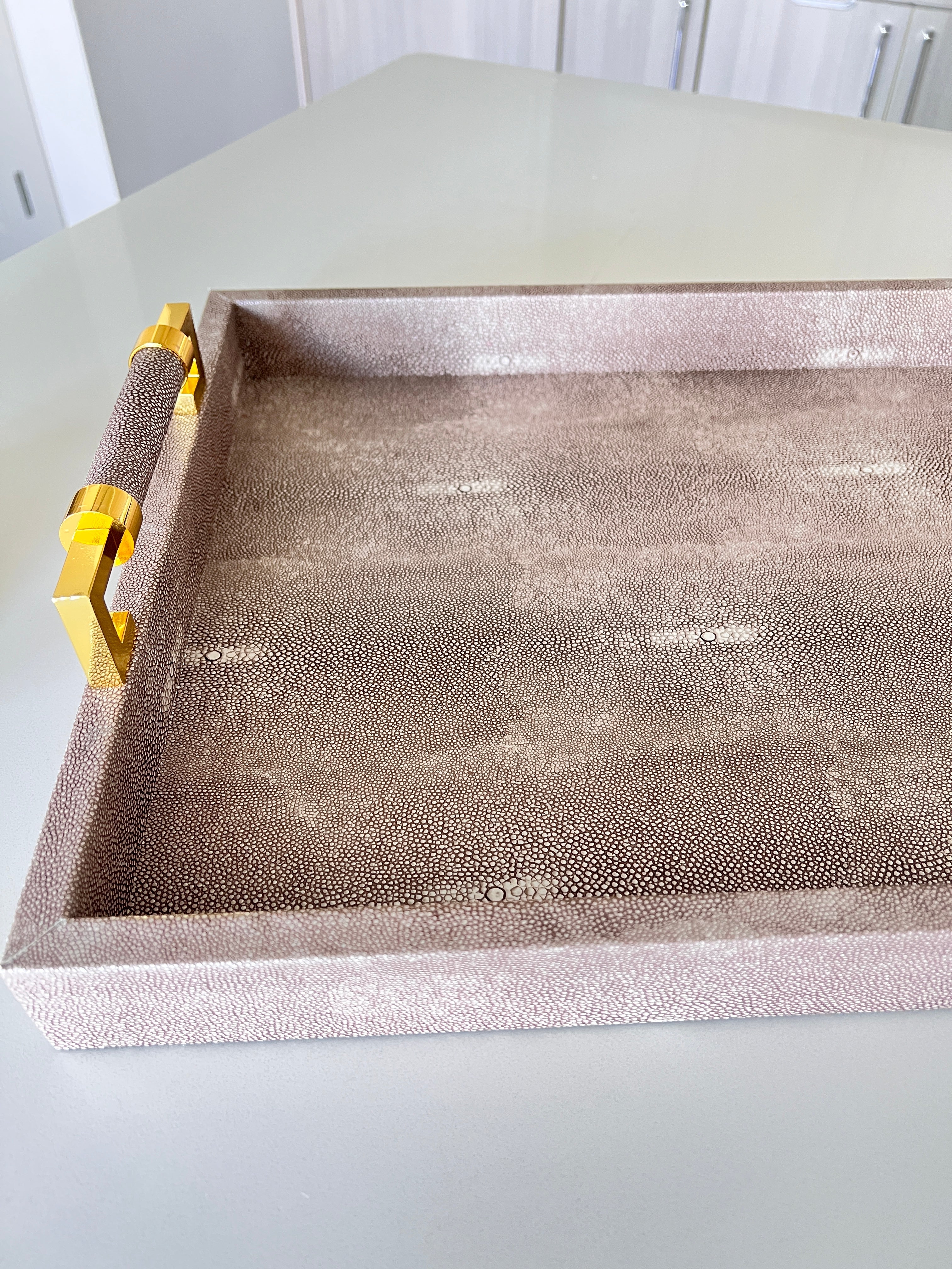 Brown Leather Tray with Gold Handles - HTS HOME DECOR